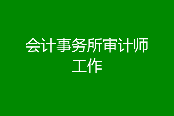 会计事务所审计师工作