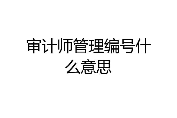 审计师管理编号什么意思
