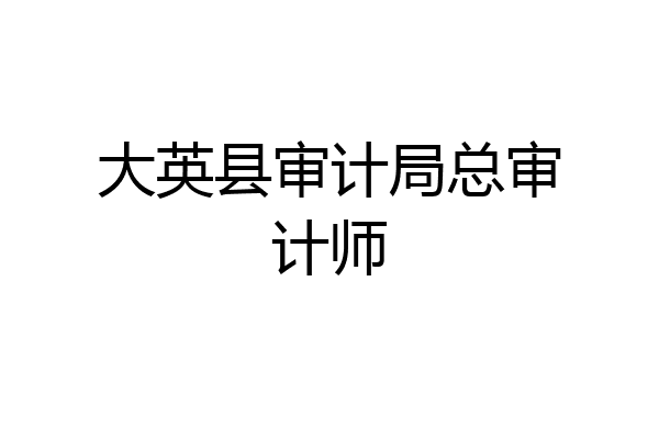 大英县审计局总审计师