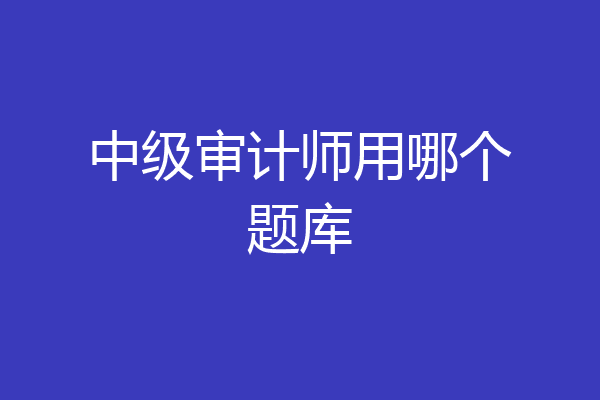 中级审计师用哪个题库