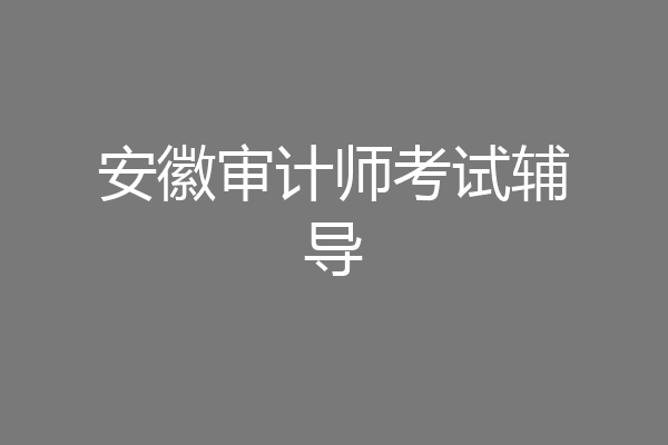 安徽审计师考试辅导