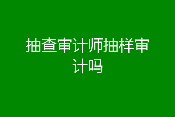 抽查审计师抽样审计吗