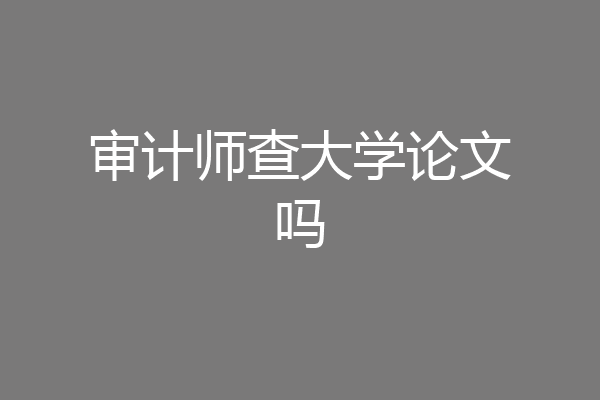 审计师查大学论文吗