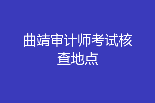 曲靖审计师考试核查地点