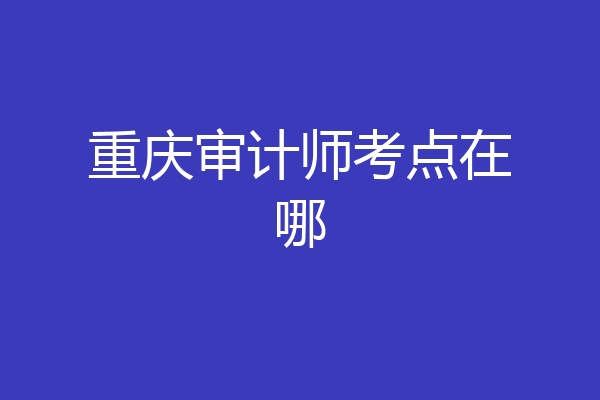 重庆审计师考点在哪