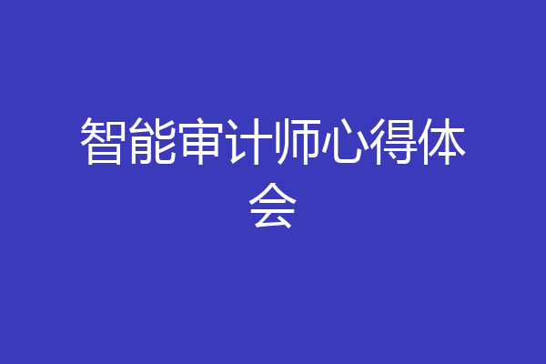 智能审计师心得体会