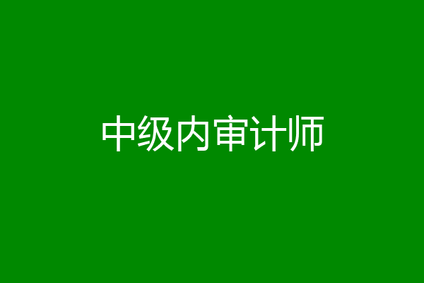 中级内审计师