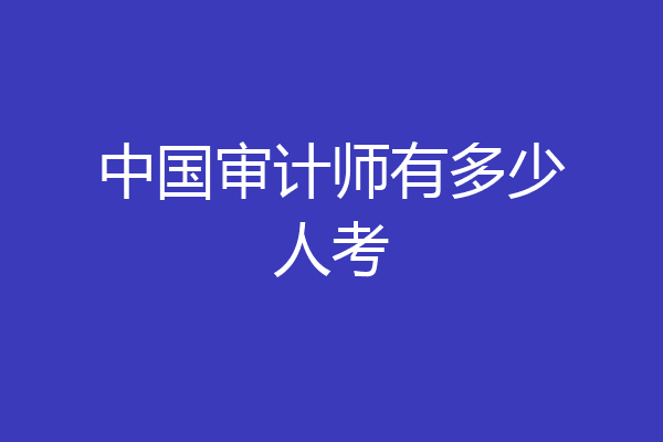 中国审计师有多少人考