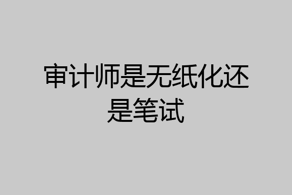 审计师是无纸化还是笔试