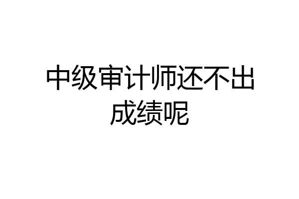 中级审计师还不出成绩呢