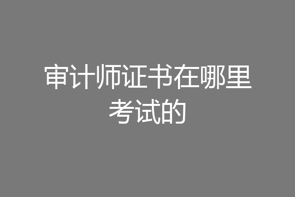 审计师证书在哪里考试的