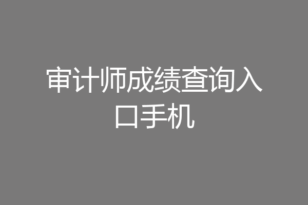 审计师成绩查询入口手机