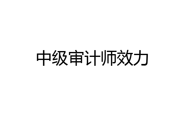 中级审计师效力