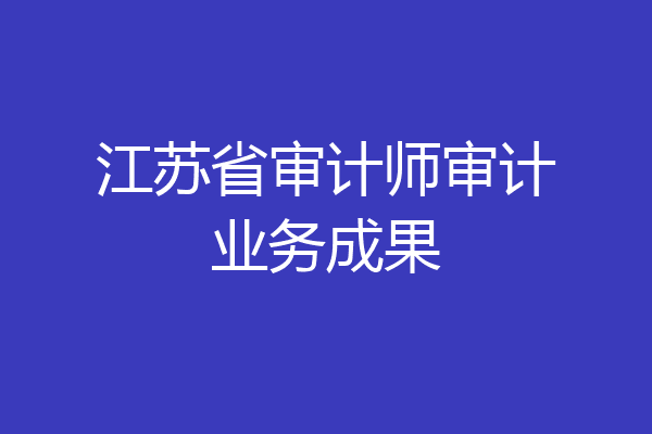 江苏省审计师审计业务成果
