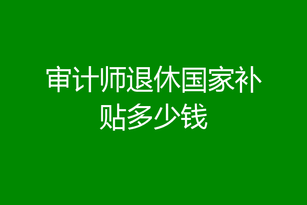 审计师退休国家补贴多少钱