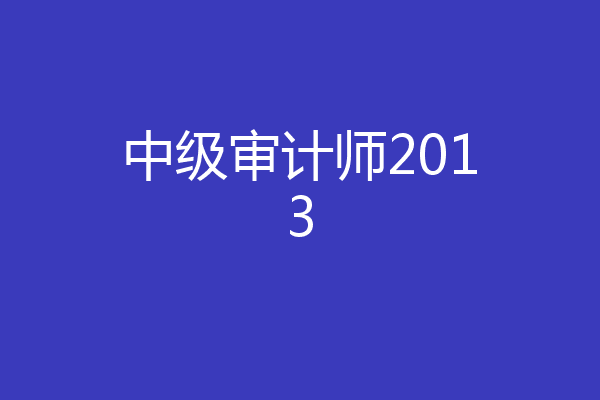 中级审计师2013