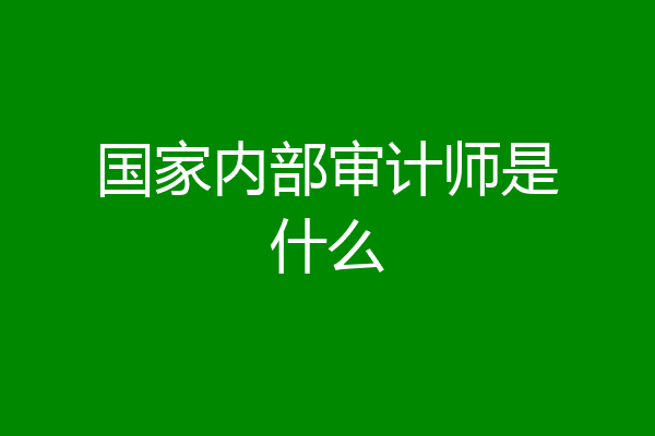 国家内部审计师是什么