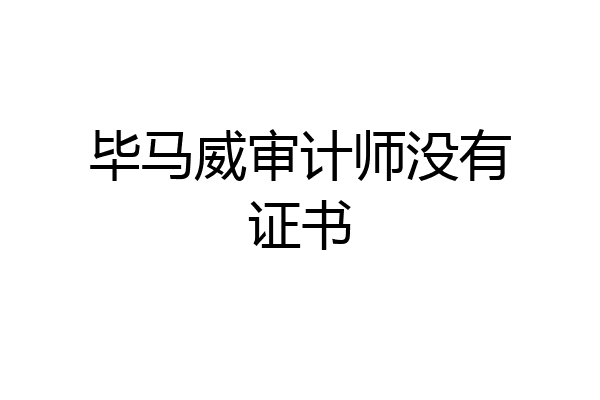 毕马威审计师没有证书