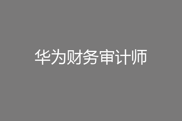 华为财务审计师