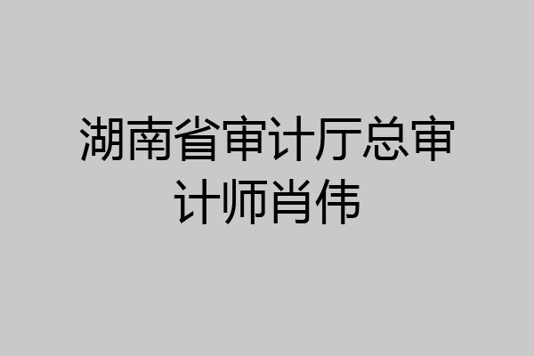 湖南省审计厅总审计师肖伟