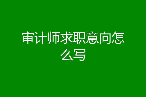 审计师求职意向怎么写