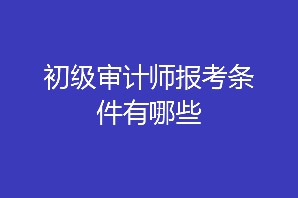 初级审计师报考条件有哪些