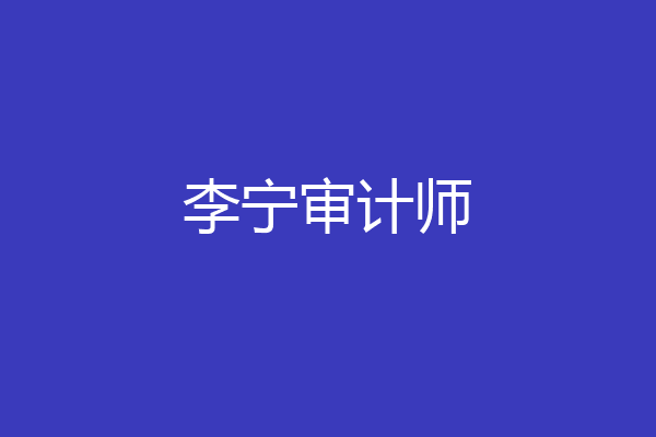 李宁审计师