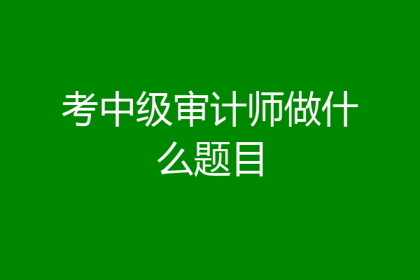 考中级审计师做什么题目