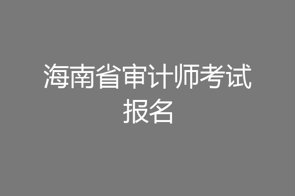 海南省审计师考试报名