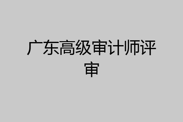 广东高级审计师评审