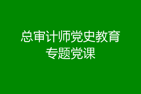 总审计师党史教育专题党课
