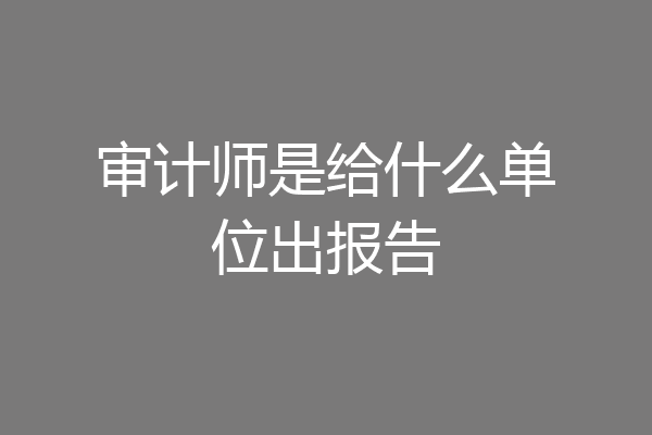 审计师是给什么单位出报告