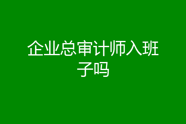 企业总审计师入班子吗