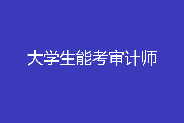 大学生能考审计师