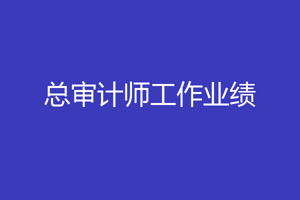 总审计师工作业绩