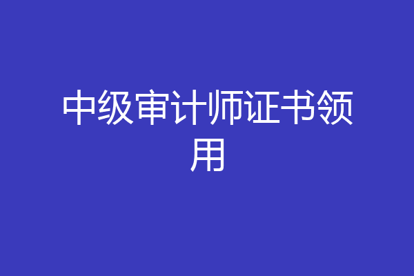 中级审计师证书领用