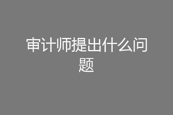 审计师提出什么问题