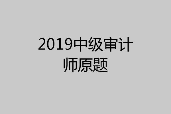 2019中级审计师原题