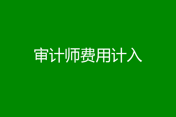 审计师费用计入