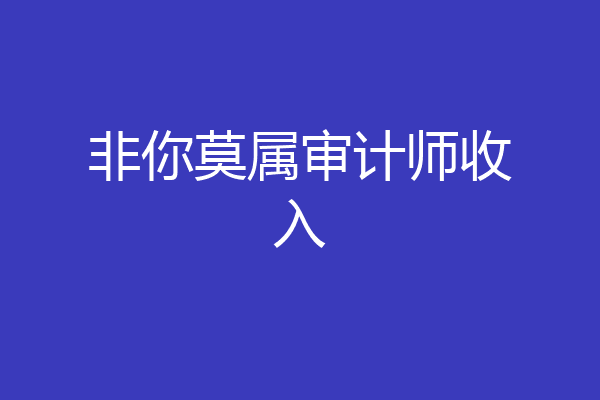非你莫属审计师收入