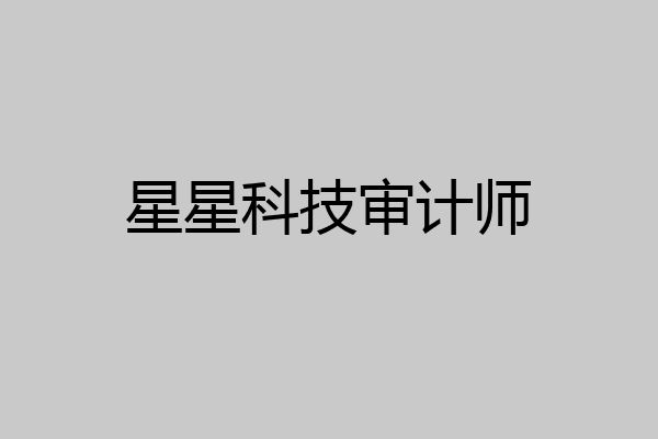 星星科技审计师