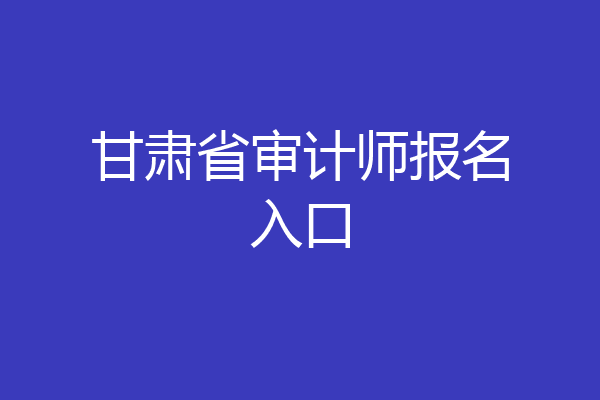 甘肃省审计师报名入口