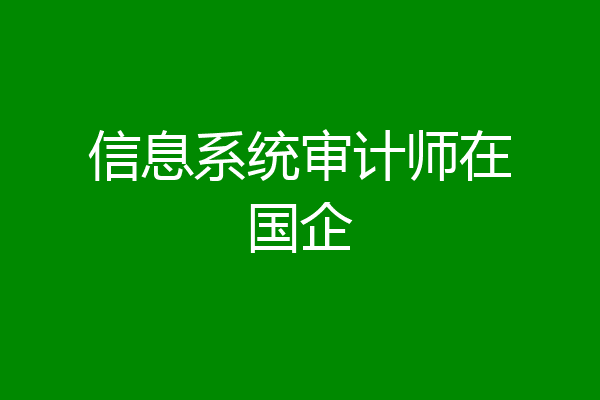 信息系统审计师在国企
