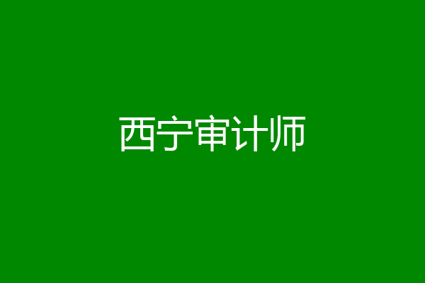 西宁审计师