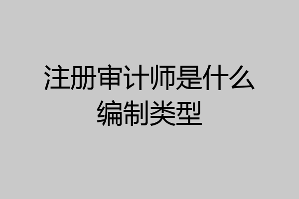 注册审计师是什么编制类型