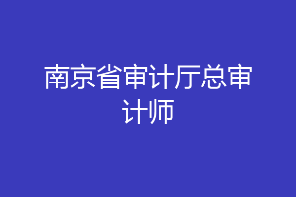 南京省审计厅总审计师