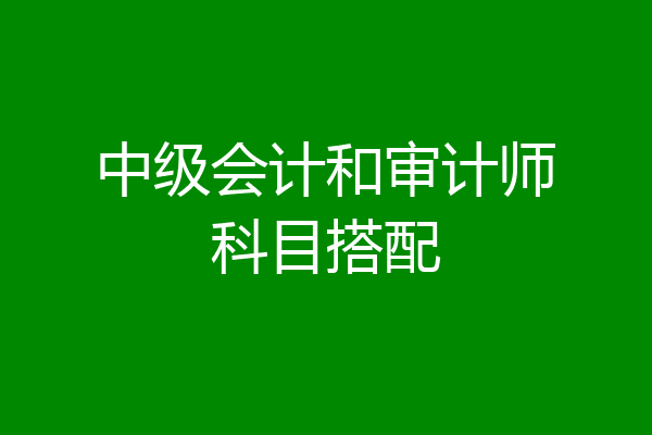中级会计和审计师科目搭配