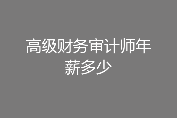 高级财务审计师年薪多少