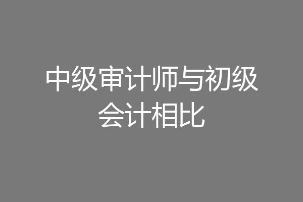 中级审计师与初级会计相比