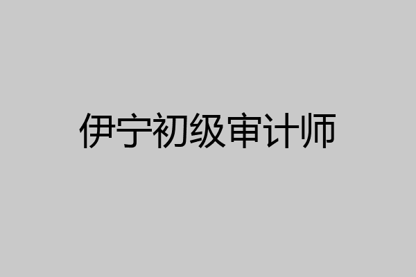 伊宁初级审计师